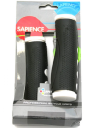 Sapience SPG-02D6