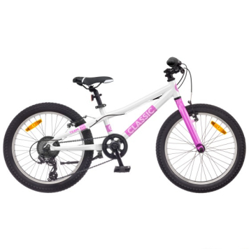 Velosipēds CLASSIC TEAM 20