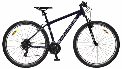 Velosipēds CLASSIC TEAM 29 21s